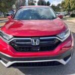 2019 Honda CRV image 1