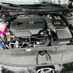2023 Hyundai Elantra image 10